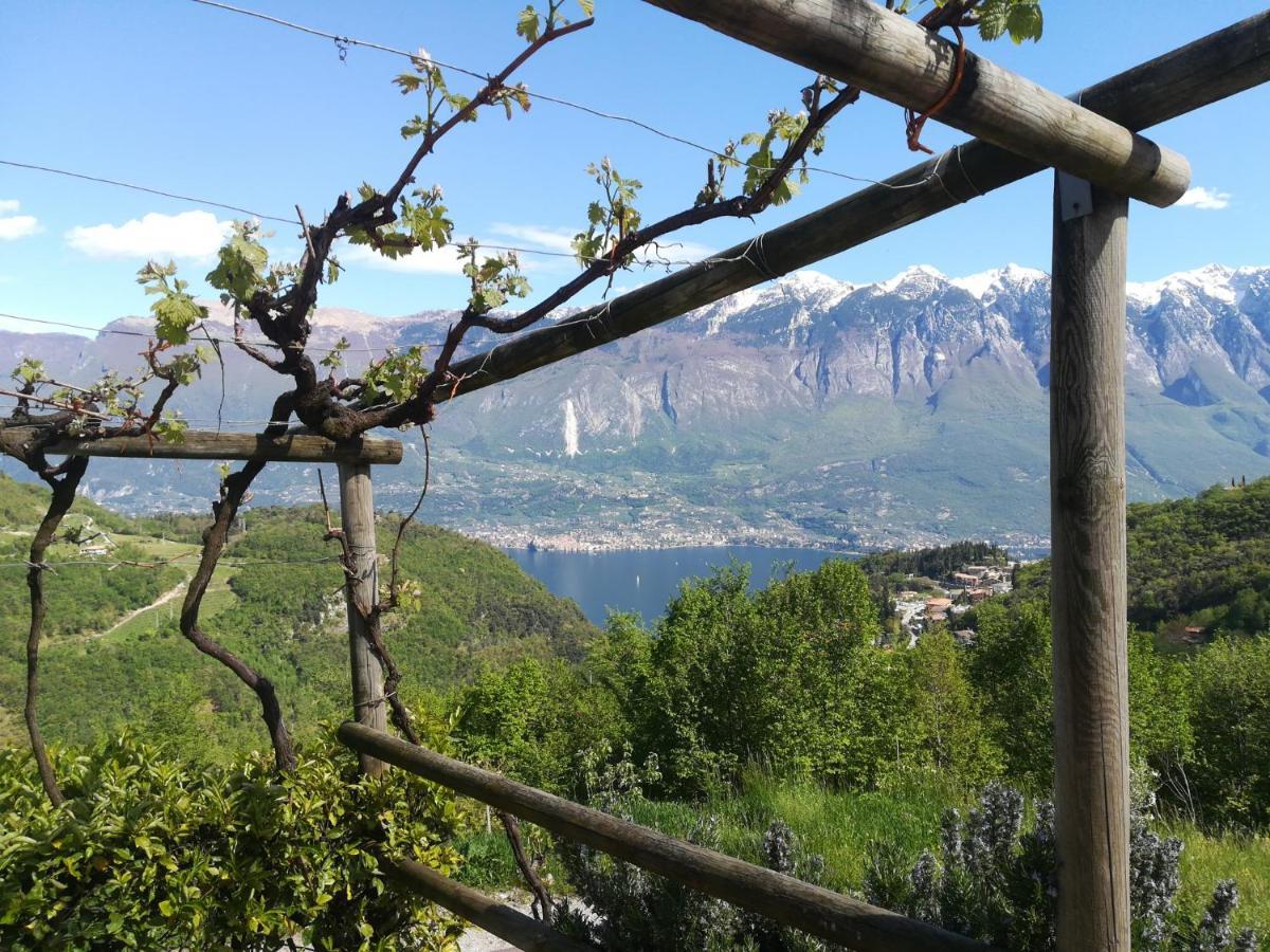 Agriturismo La Zangola Tremosine Экстерьер фото