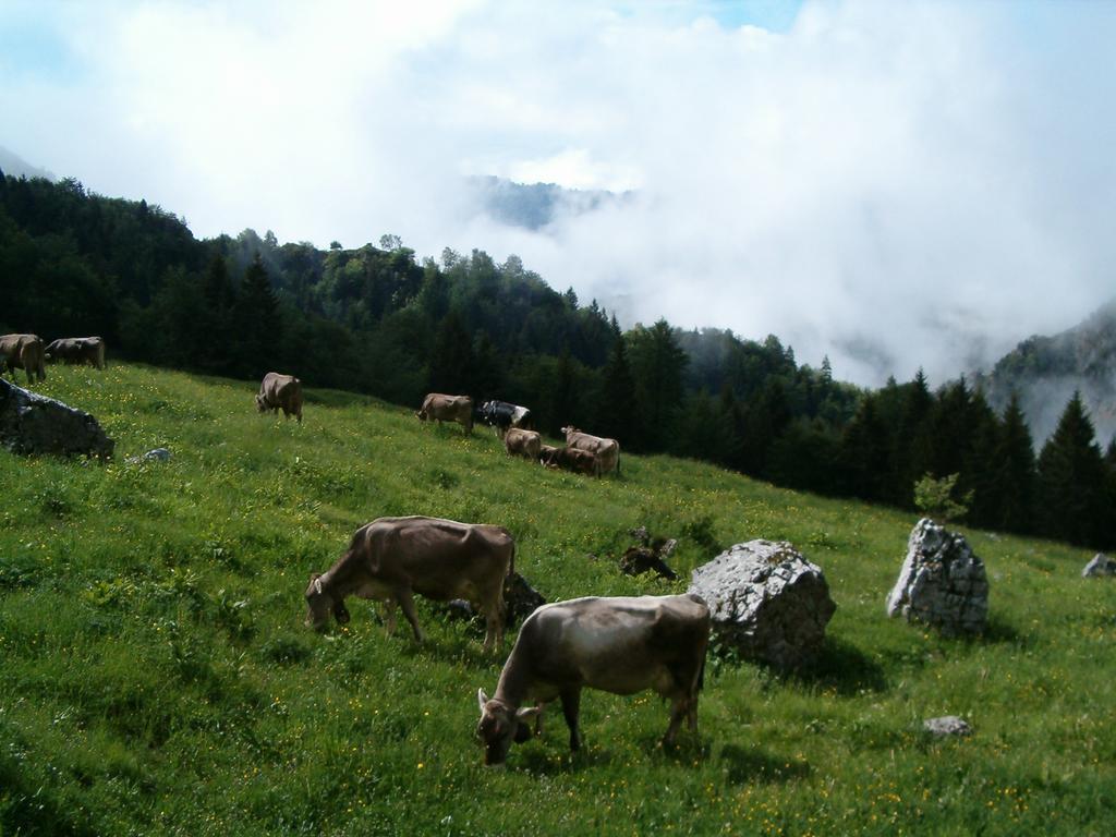 Agriturismo La Zangola Tremosine Экстерьер фото